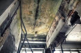 Best HVAC Mold Inspection and Cleaning  in Jasper, GA